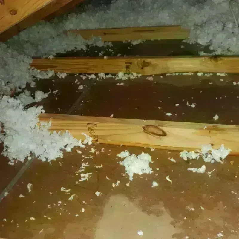 Attic Water Damage in Paden City, WV